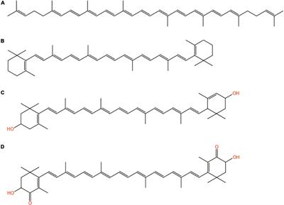 Preparation of highly efficient p-doped porous <mark class="highlighted">camellia</mark> shell-based activated carbon and its adsorption of carotenoids in <mark class="highlighted">camellia</mark> oil